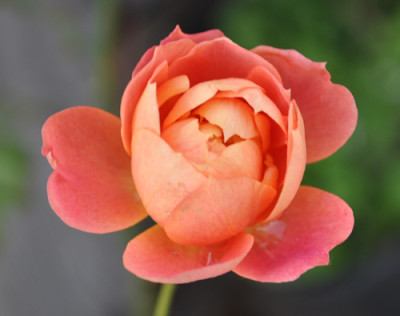 Brise_Parfum_12__3272.jpg