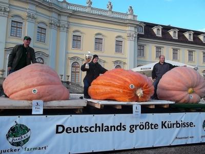 SiegerDeutschland.jpg