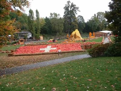 Kurbisschweiz.jpg