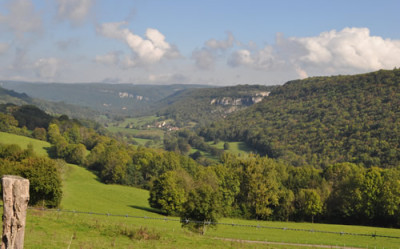 LS_4_12__3027.jpg
