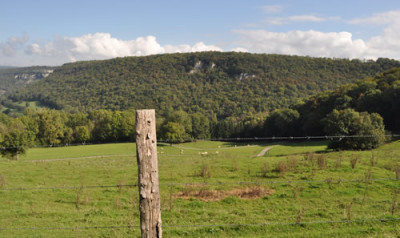 LS_5_12__3028.jpg