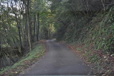 Waldgasse_12__3030.jpg