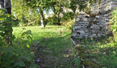 Herbstzyklamen_12__3094.jpg