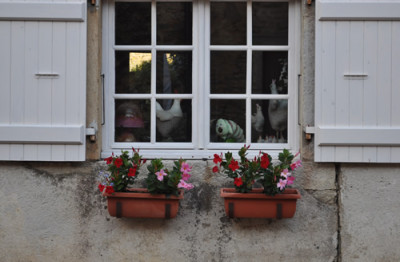 Tierblick_12__3114.jpg