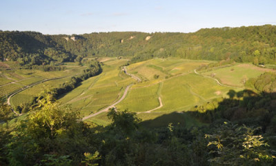 Weinberge_12__3122.jpg