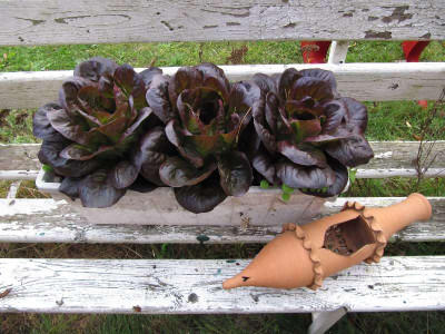 SalaNova_121010.jpg
