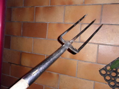 R0015230.JPG