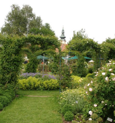 seitenstetten_rosengarten.jpg