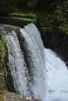 Quelle_der_Doubs_12__3230.jpg