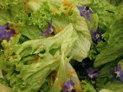 salat_20121013_zg.jpg