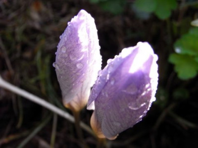 R0015324.JPG