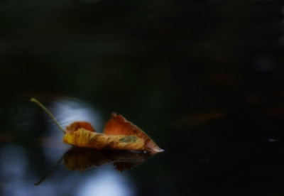 IMGP2302.web.jpg