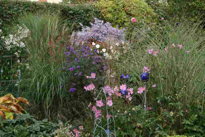 Gartenubersicht0912.jpg
