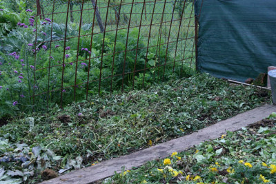 Mulch0311a.jpg