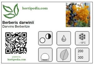Etikett_Berberis_darwinii_klein.jpg