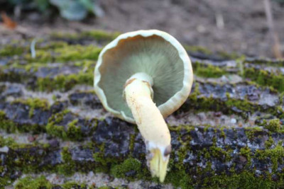 K640_IMG_0413.JPG