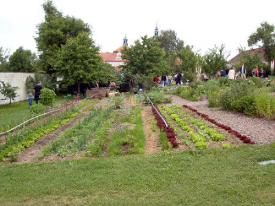 seitenstetten6.jpg