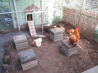 baustelle_in_voliere.jpg