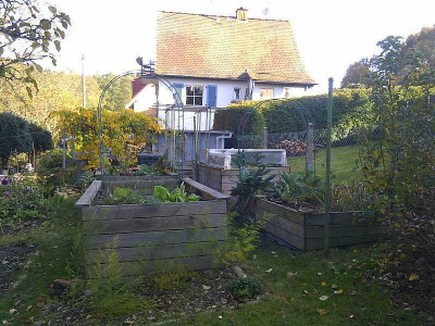 Herbst_Gemuse_2012.jpg