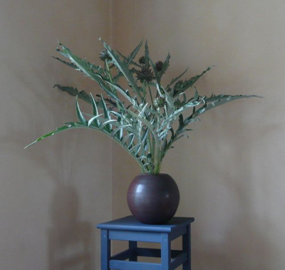 tg_121026_1.jpg