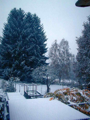 Winter_27.10.12.jpg