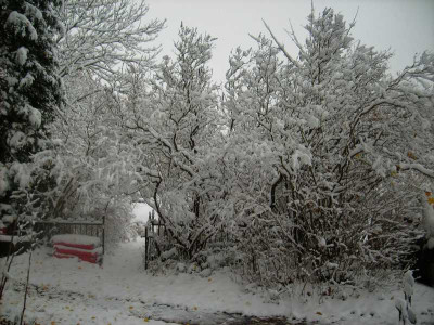 Garten_27.10.2012.jpg