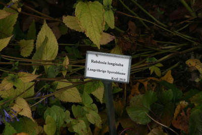 verkleinert-IMG_1863.jpg