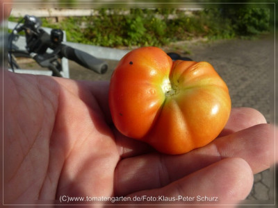2012_Borodinskij_Fruit3.jpg