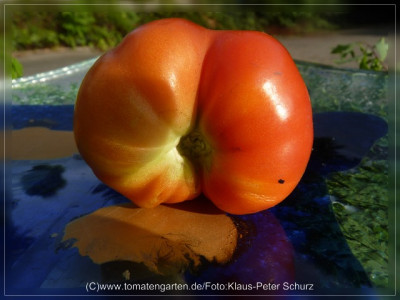 2012_Borodinskij_Fruit2.jpg