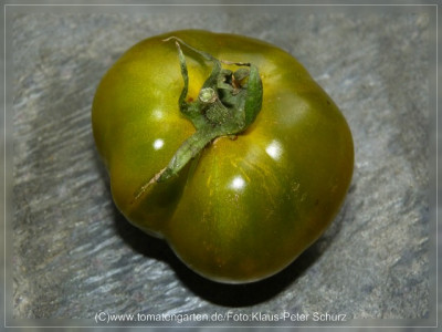2012_Cherokee_Green_Fruit3.jpg