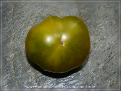2012_Cherokee_Green_Fruit4.jpg
