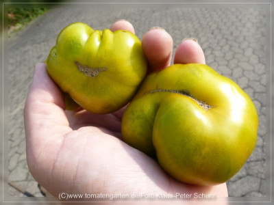 2012_Cherokee_Green_Fruit5.jpg