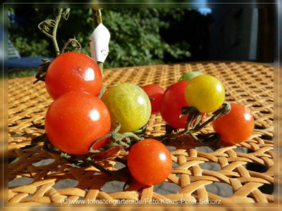 2012_Cooks_Island_Fruits3.jpg