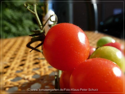 2012_Cooks_Island_Fruits4.jpg