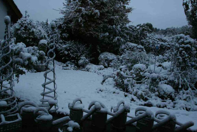 Winter0212.jpg