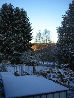 Winter_28.10.12.jpg