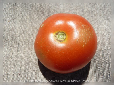 2012_Flavance_Fruit2.jpg