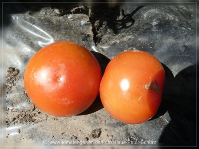 2012_Flavance_Fruit1.jpg