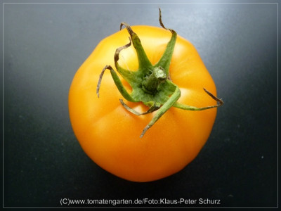 2012_Earl_of_Edgecomb_Fruit3.jpg