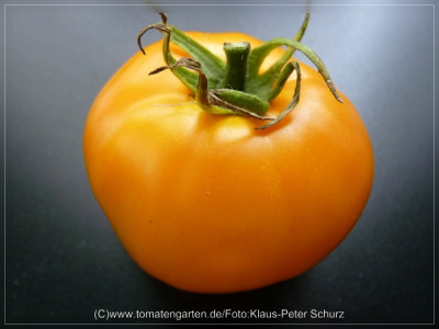 2012_Earl_of_Edgecomb_Fruit2.jpg