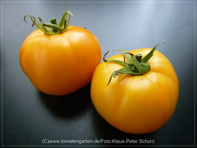 2012_Earl_of_Edgecomb_Fruit1.jpg