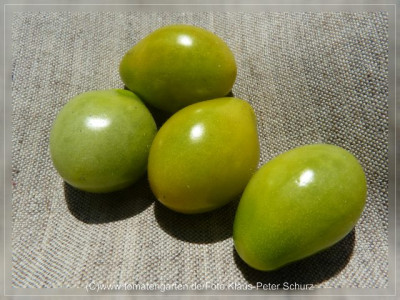 2012_Green_Pear_Fruit.jpg