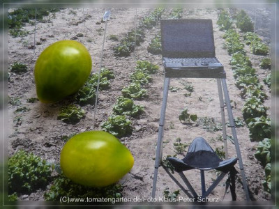 2012_Green_Pear_Fruit2.jpg