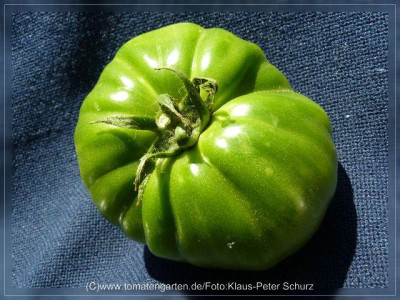 2012_Green_Velvet_Fruit6.jpg