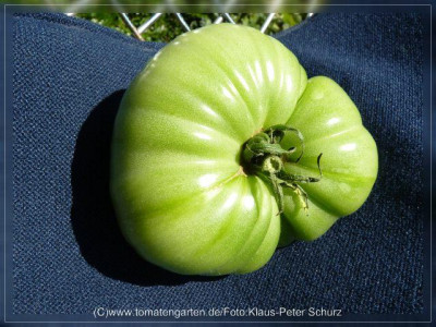 2012_Hughs_Green_Fruit5.jpg