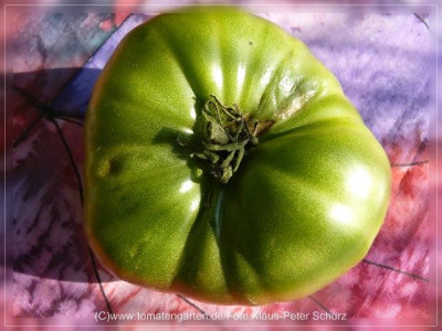 2012_Hughs_Green_Fruit7.jpg