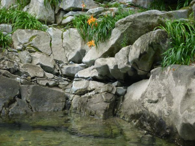 P1030153_600x600_80KB.jpg