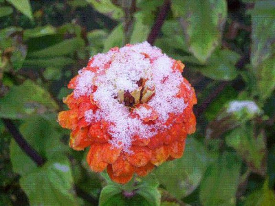 PIC_0014a.jpg