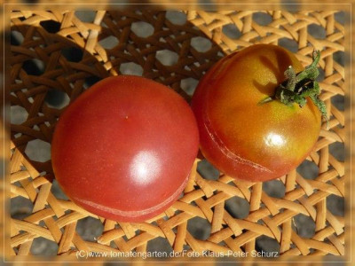 2012Antho_rosa_Fruit4.jpg