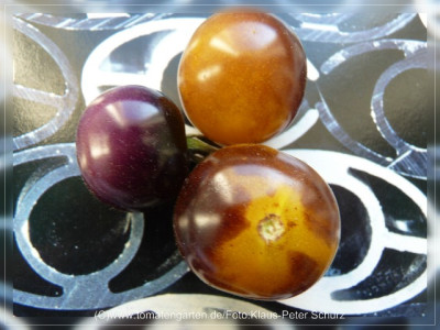 2012Antho_violett_Fruit1.jpg